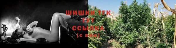a pvp Абинск