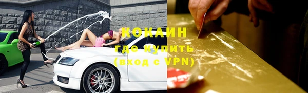стаф Абаза