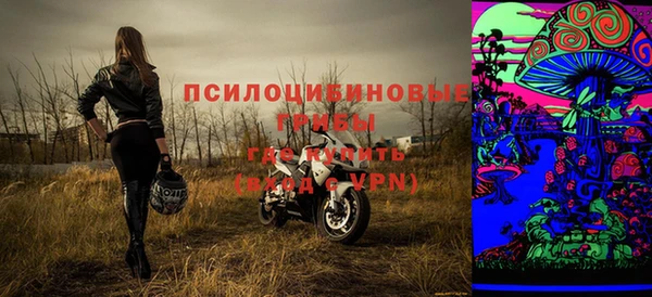 стаф Абаза