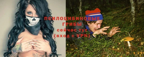стаф Абаза