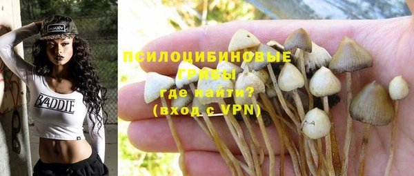 a pvp Абинск