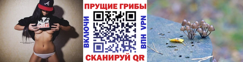 Галлюциногенные грибы ЛСД Камень-на-Оби
