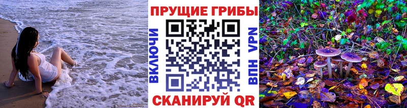купить наркотики сайты  Камень-на-Оби  Галлюциногенные грибы Magic Shrooms 