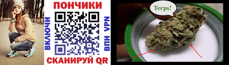 Бошки Шишки ГИДРОПОН  купить закладку  Камень-на-Оби 